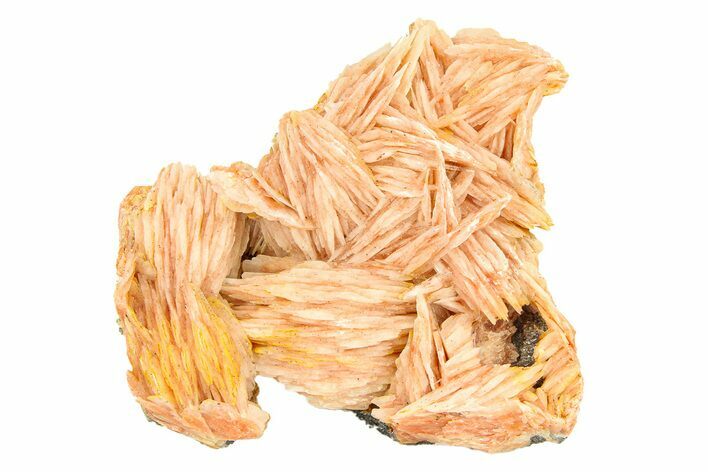 Bright Orange-Pink Bladed Barite Cluster - Morocco #292922